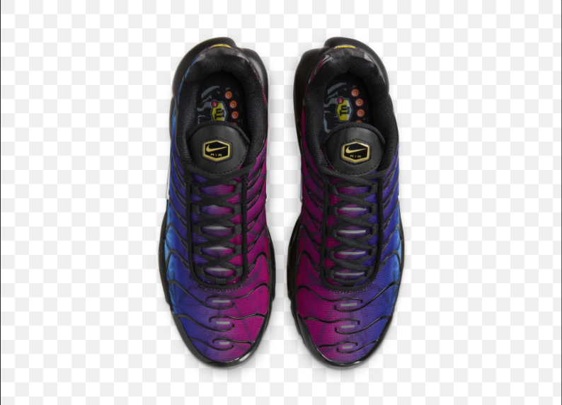 TN🔵🟣🔴